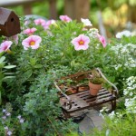 110624-neighborhood-nest-2