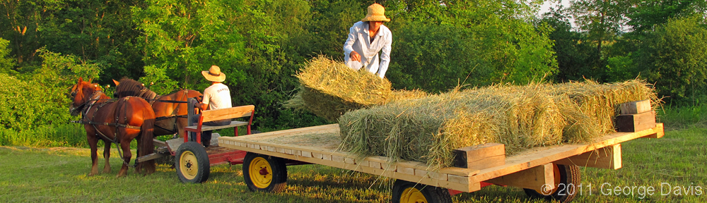 davis-george-header-full-and-by-farm.jpg