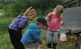 Whole Systems Thinking - Lakeside children feeding animals